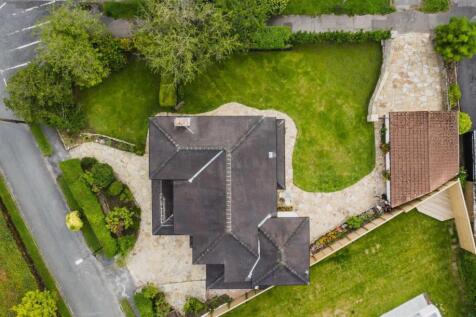 Plot View