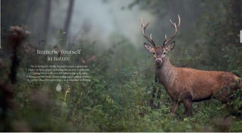 Nature.JPG