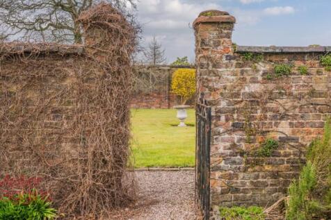 20250321-20250321-DSC07216-Edit (2).jpg