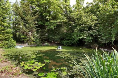 Natural Pond