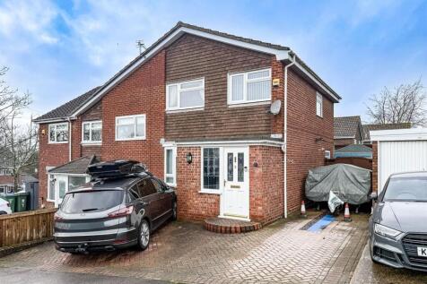 PHOTO-2026-02-12-09-18-51 9.jpg