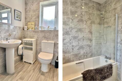 Untitled design (24).jpg