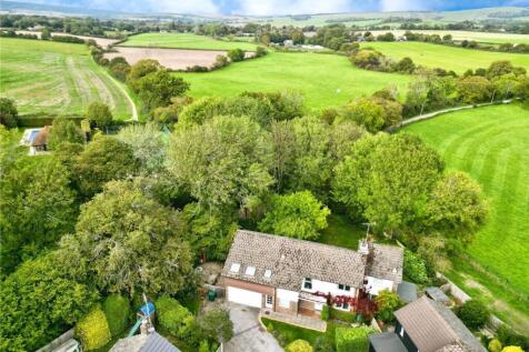 Aerial Shot