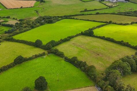 -688cb9a2a19e8-1326931 (11).jpg