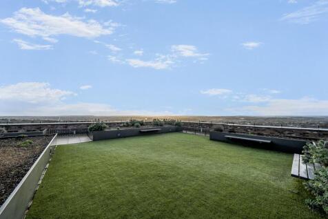 Roof Garden View 2