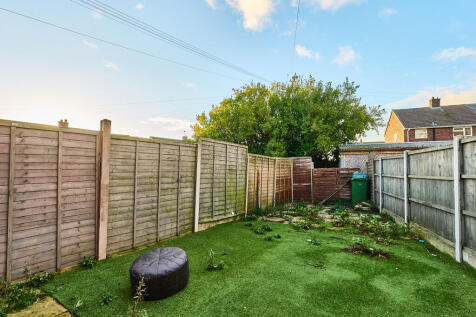 P1616781 T202511181919.jpg