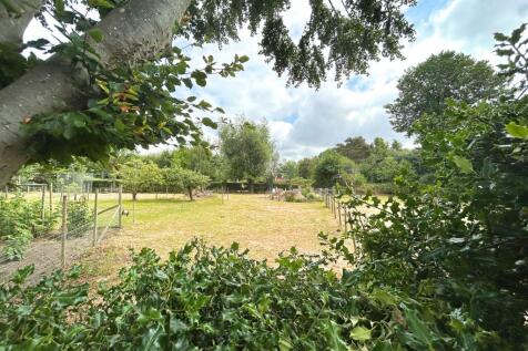 Property Image 41