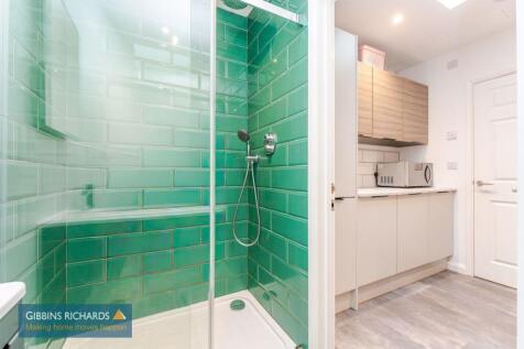Shower Room / Utility Room