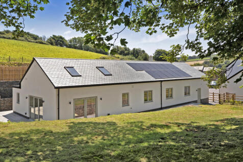 Dunlin2025Wakeham Farm (44)44