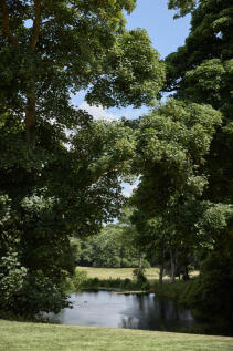 296001 - DGLA3384.jpg