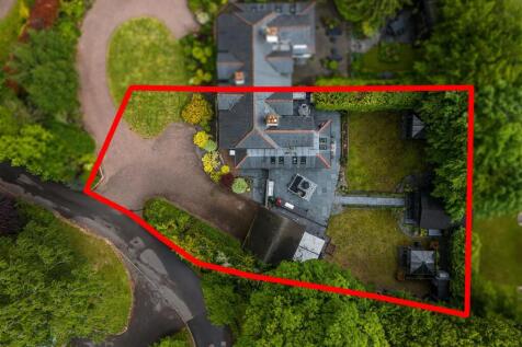 7 The Burrow-drone-1.jpg