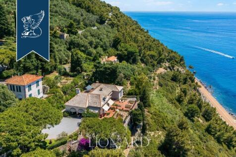 Rif. 16545