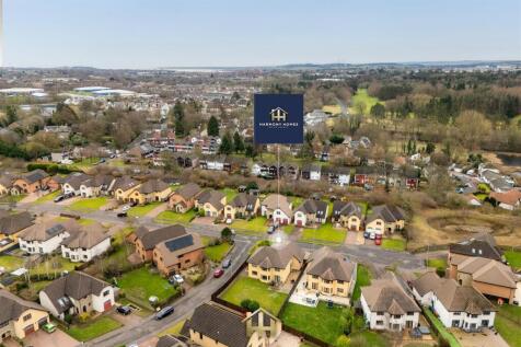 20CastlewoodAve-Drone-0009.jpg