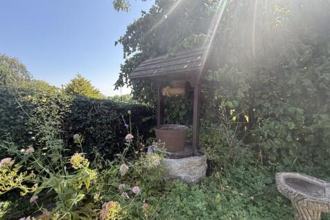Garden Shot