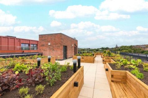 Residents Rooftop