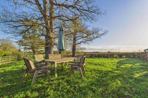 Garden Area Three (Meadow)