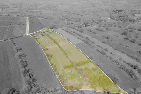 Denise White Estate Agents Comments