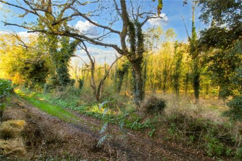 Woodland To Rear