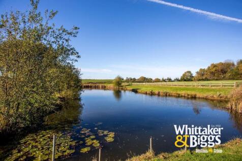 de1337de-2446-44f0-8684-419e6995edf9 2.JPG