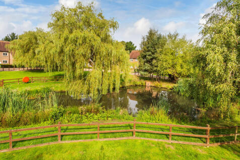 Communal Pond Area (Summer)