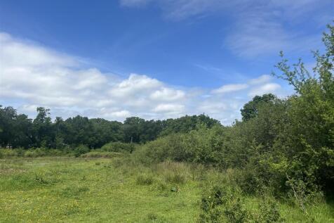 IMG_6880.jpg