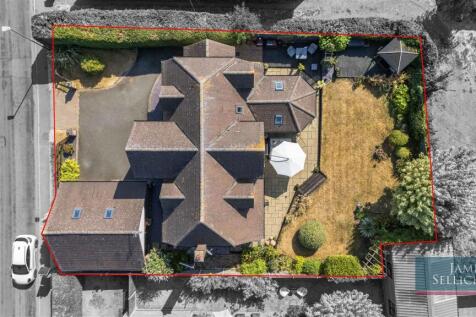 Bird eye view