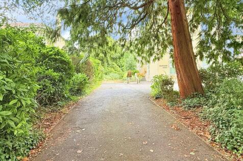 Driveway Approach