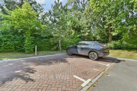 Driveway/Parking