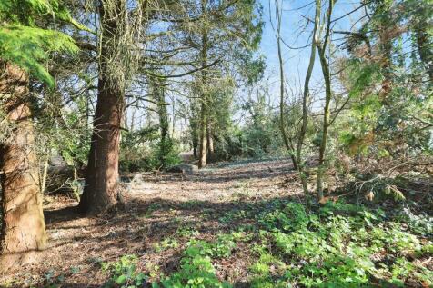 Property Image 33