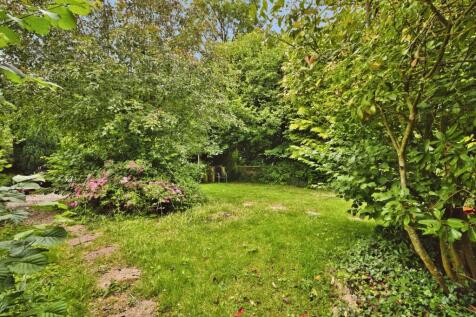 pbox-IMG.jpg