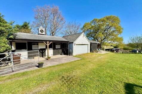 PHOTO-2025-04-20-09-23-00 (33).jpg