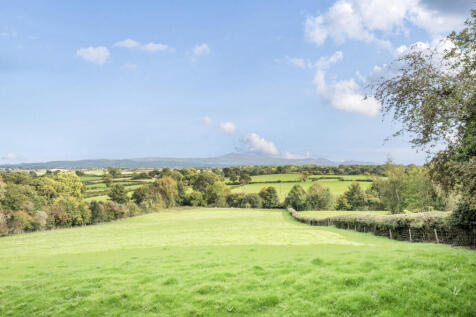 1361446-19-68dd69...