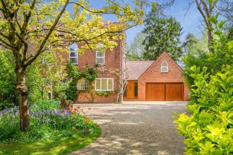 Property Image 42