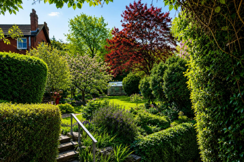 Rear garden steps.png