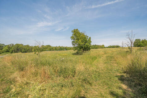 Nearby Fields