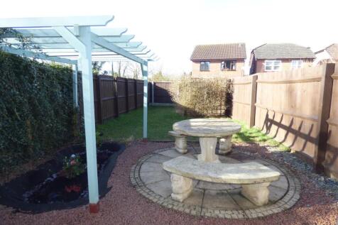 48 Mear Drive garden.JPG