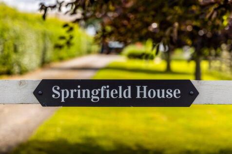 Feature Photo