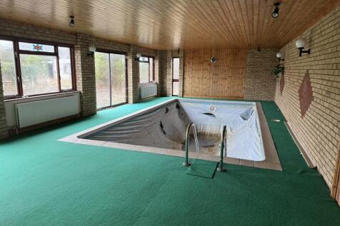 20260220 125336087 IOS Medium T202602231102.jpg