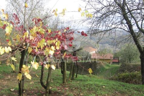 Panorama e Particolari