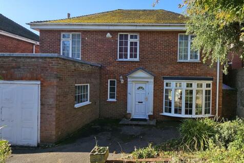 20241011_102435 crop ii.jpg