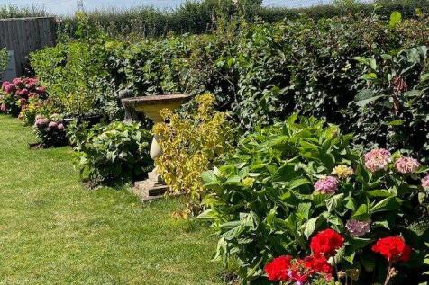 Gardenpicture No. 43