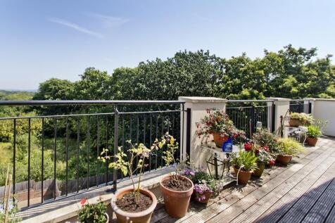 Roof Terrace