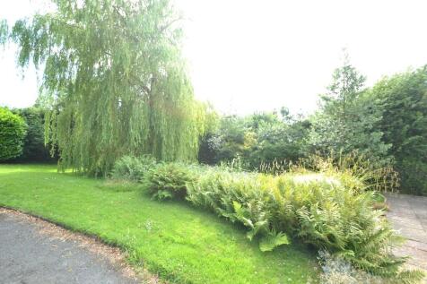 Trees and Shrubs