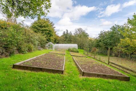 Vegetable plot, orchard, polytunnel and chicken coop and run