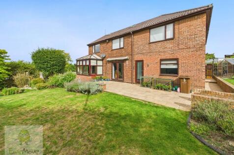 Back of the Property