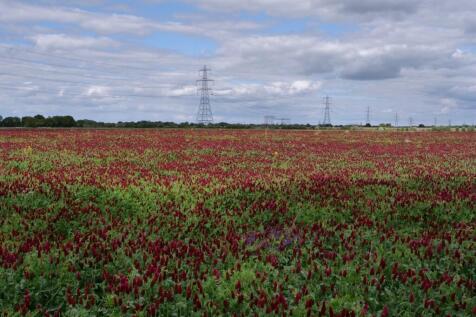 Farm Land for sale in temple hirst