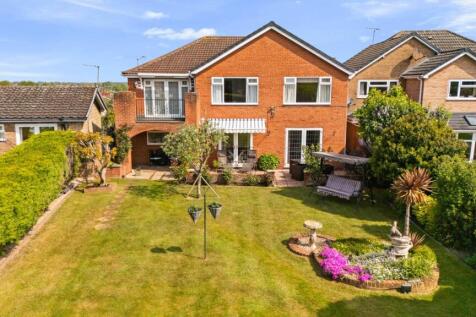 Back Garden