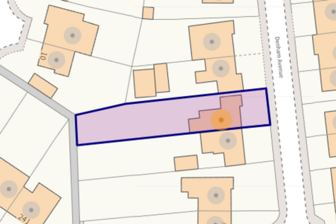 Plot Size