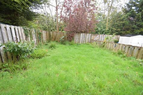 Back Garden