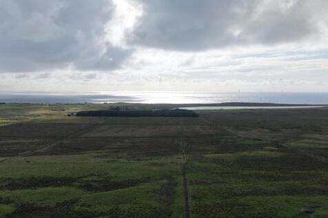 VIEW.jpg